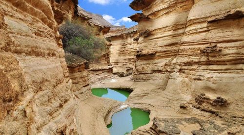 تور نوروزی قشم